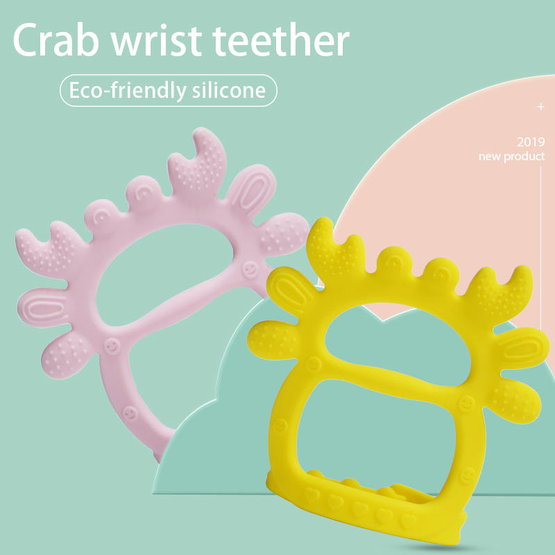 Crab wrist dental glue